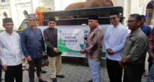Sapi kurban 2023